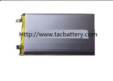 Tragbare Batterie-prismatischer weicher Satz 3.2V 21AH 85200235 ESS LiFePO4